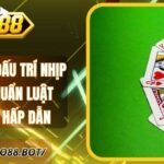 Sâm Go88 Đấu Trí Nhịp Nhanh Chuẩn Luật Đỉnh Cao Hấp Dẫn